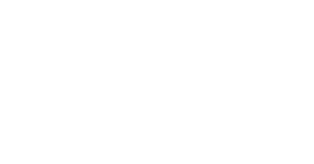 Zana Palmier Assessoria
